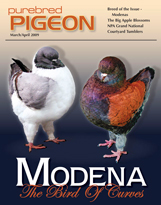 Cover of our March/April 2009 issue