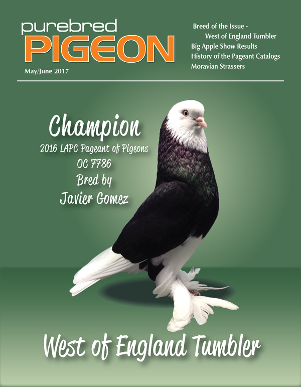 Purebred Pigeon Magazine Free Download