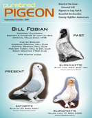 Oriental Frill pigeons